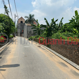 PHUC THINH LAND FOR SALE - SUPER BEAUTIFUL LOCATION <br \/><br \/> 162m² – Hamlet 2, Phuc Thinh (Old Van Noi) _0