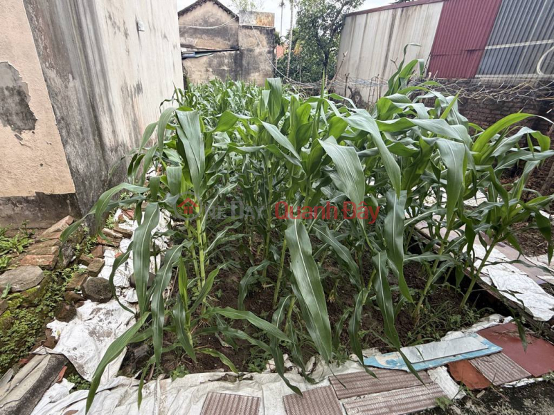 Property Search Vietnam | OneDay | Nhà ở | Niêm yết bán, HÓT NHẤT THANH VĂN THANH OAI -445M CHỈ NHỈNH 20 TỶ- VÂY QUANH LÀ CÁC DỰ ÁN LỚN - THÔNG SỐ VÀNG - Ô TÔ TRÁNH