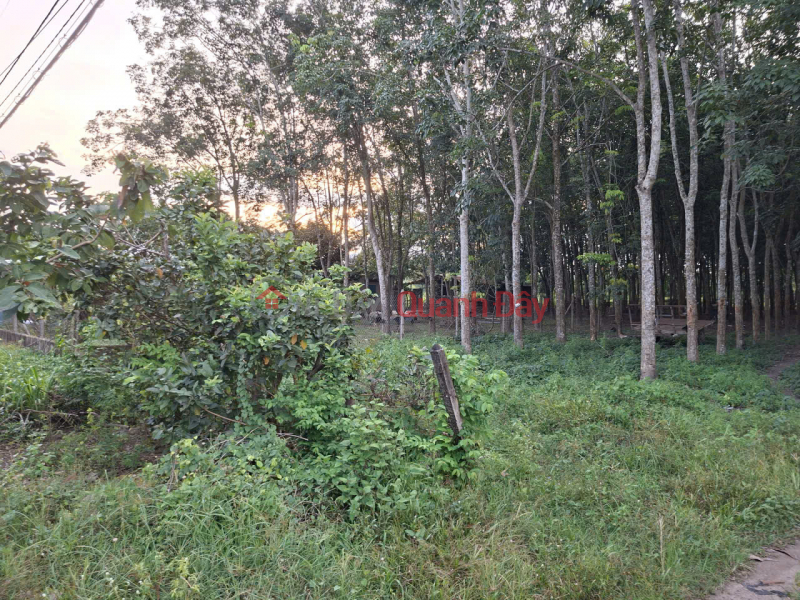 , Làm ơn chọn | | Niêm yết bán | đ 84 tỷ