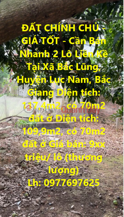 PRIMARY LAND - GOOD PRICE - For Quick Sale 2 Adjacent Lots In Bac Lung Commune, Luc Nam District, Bac Giang _0