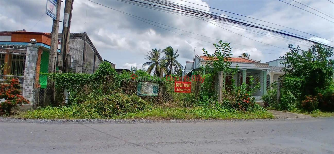 HOT !!! Owner - Good Price - Land for Sale in Binh Dong Trung - Binh Nhi Commune - Go Cong Tay - Tien Giang | Vietnam Sales, đ 1.2 Billion