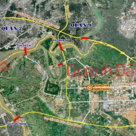 Urgent sale of 5,000m² land plot - GOLDEN location in the center of Nhon Trach development! _0