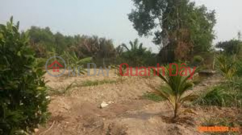 The owner is selling 2 plots in Ward 2, Soc Trang City, Soc Trang Province _0