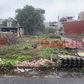 Siêu phẩm LÔ GÓC CỰC ĐẸP 71,2m2 tại Nguyên Khê - ĐÔNG ANH - Nhỉnh 4tỷ _0