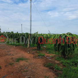 FOR SALE 1 acre of land to grow dragon fruit in Ham Thuan Nam - Extremely cheap price _0