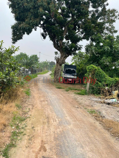 Bán đất nông nghiệp - Đất bãi trục chính tổ 14 Yên Nghĩa, Hà Đông _0