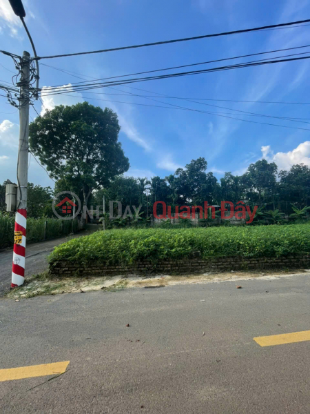 Property Search Vietnam | OneDay | Nhà ở, Niêm yết bán, 60m lô góc Sơn Tây, ô tô tránh, đường trải nhựa, hướng Nam mát mẻ. Tc nhỉnh tỷ. alo 0916731784