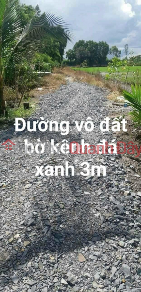 Own a Prime Land Lot - BEAUTIFUL LOCATION In Hoa Khanh Tay Commune, Duc Hoa - Long An, Vietnam Sales, ₫ 1.8 Billion