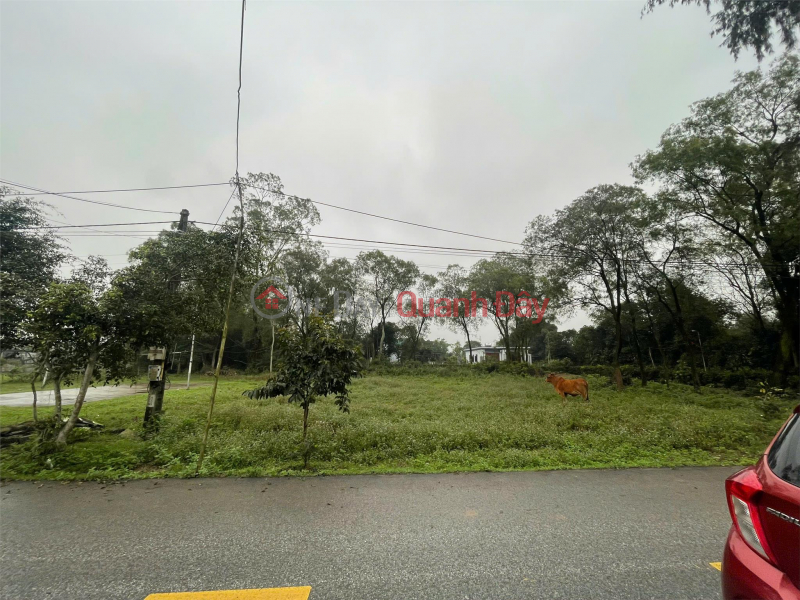 Property Search Vietnam | OneDay | Residential | Sales Listings OWNER Needs to Sell 2 Beautiful Plots of Land on Giang Vien Linh Street and Tien Dien Town, Nghi Xuan District, Ha Tinh.