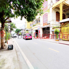 Land on Vinh Tien street, 113m2, 4.5m wide, Price 55 million\/m2, very nice location, not planned _0