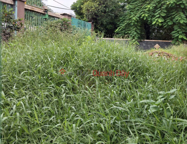 4 Land Lots Fronting SHR 10m Road 105m2 - Vo Thi Thua District 12 SS Vietnam, Sales, đ 6.25 Billion