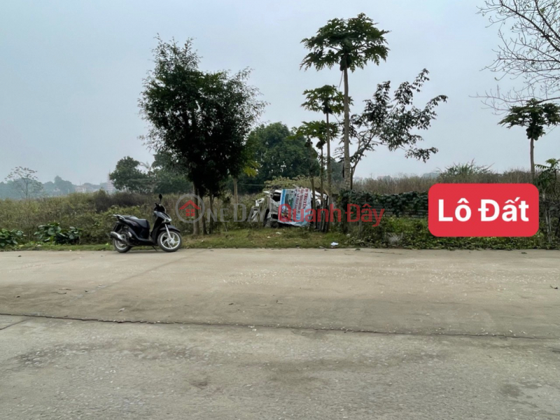 Property Search Vietnam | OneDay | Residential | Sales Listings | THANH BINH COMMUNE AUCTION - cheaper than residential land is real - area 92m full residential - standard legal auction,