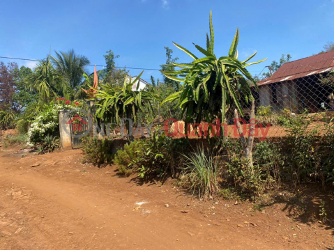 OWNER LAND - Good price - Good location in Krong Nang, Dak Lak _0