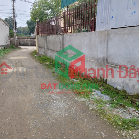 Land for sale in Dong village, Nguyen Khe - 58m - Clear road - Truck to land _0