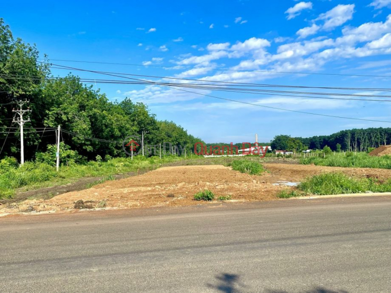 Need money to liquidate 3534m2 of land near the industrial zone cluster and large land for gardening in Binh Phuoc. Price 300 CHILD Sales Listings