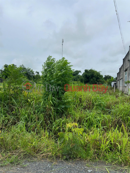 BEAUTIFUL LAND - GOOD PRICE - Owner Needs to Quickly Sell Land Lot in Long Giao Hamlet, Long Chu, Ben Cau, Tay Ninh Vietnam, Sales đ 1.2 Billion