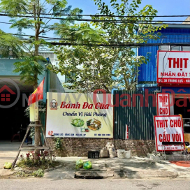 Đất mặt đường Trung Lực - 100m - Ngang 5 - đối diện Trường Học - Hướng Đông _0