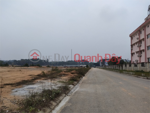 Transfer of 20ha of warehouse land for 50 years in Dong Van Industrial Park, Ha Nam Province _0