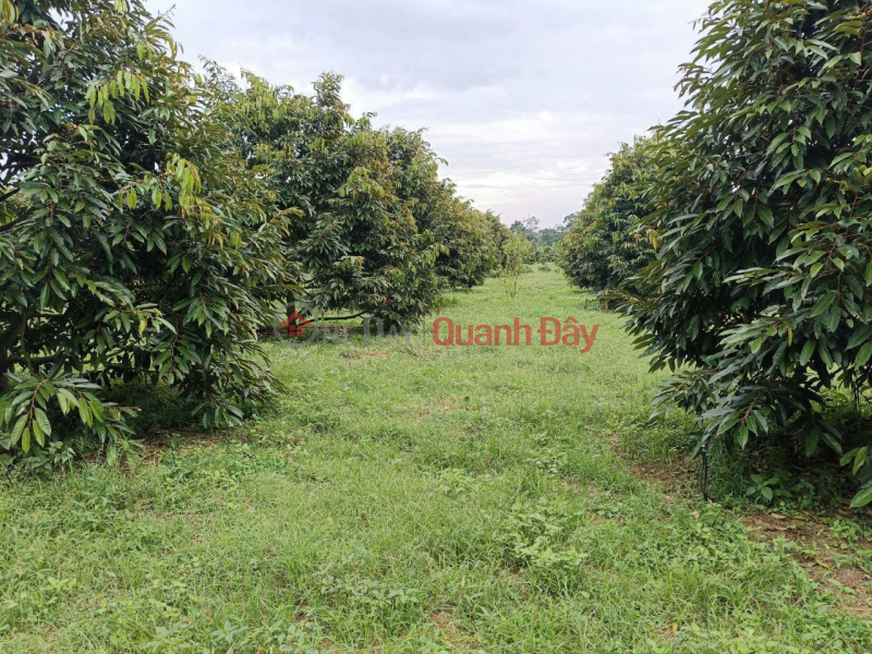 Please Select Residential | Sales Listings | đ 3.3 Billion