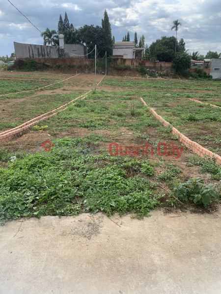 Land plot for sale urgently in Hung Thinh, Trang Bom, Dong Nai Sales Listings