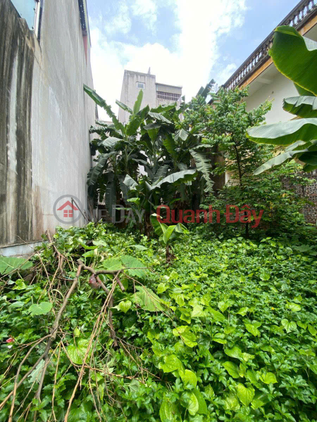 URGENTLY NEED TO SELL A BEAUTIFUL LOT OF LAND IN THACH CAU - LONG BIEN 104m2 price 8.7 billion VND, business Vietnam, Sales, đ 8.7 Billion