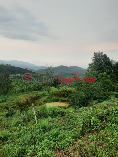 LAND SALE IN BAO LOC – LOC THANH – LAM DONG – 0984 96 70 76 _0