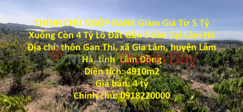 CHÍNH CHỦ NGỘP BANK Giảm Giá Từ 5 Tỷ Xuống Còn 4 Tỷ Lô Đất Gần 5 Sào Tại Lâm Hà _0