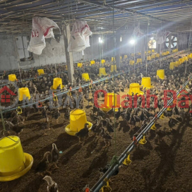 OWNER SELLS CHICKEN FARM 3,430M2 IN DONG SON-CHUONG MY-HANOI _0