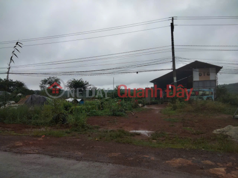 PRIME LAND – GOOD PRICE – OWNER NEEDS TO SELL GARDEN LAND in Quang Binh Hamlet, Nghia Thang Commune, Dak R'Lap District, Dak Nong Province _0