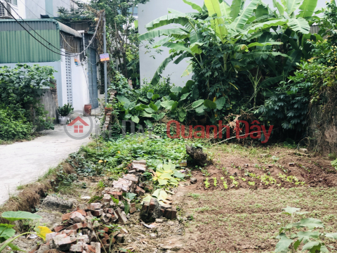 Selling a 48m2 plot of land, group 14 Yen Nghia, behind the cultural house, price 2 billion _0