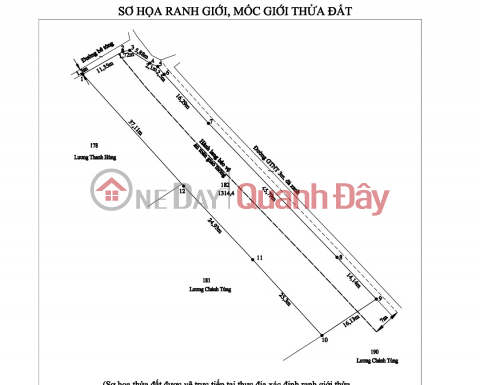 Bán gấp lô đất lúa hai mặt tiền xã Đức Tân giá 800 triệu _0