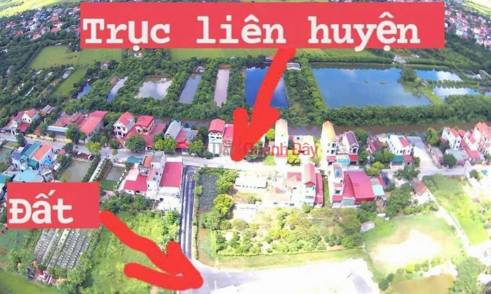 Land for sale in Nguyen Trai, An Thi, Hung Yen Sales Listings