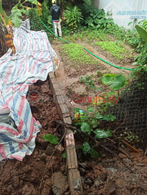 The owner is looking for a new owner for a prime plot of land at Alley 12A, An Thuong Street, Dong La Commune, Hoai Duc District. _0