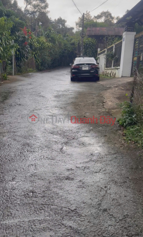 Land for sale 300m2 residential street Tran Phu, B'Lao ward, Bao Loc city, Lam Dong province _0