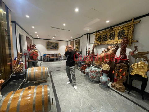 RARE! HO TUNG MAU LOT, ROX-TOWER, GARAGE, ELEVATOR, AREA=55Mx7T, FRONTAGE=5m, over 15 billion _0