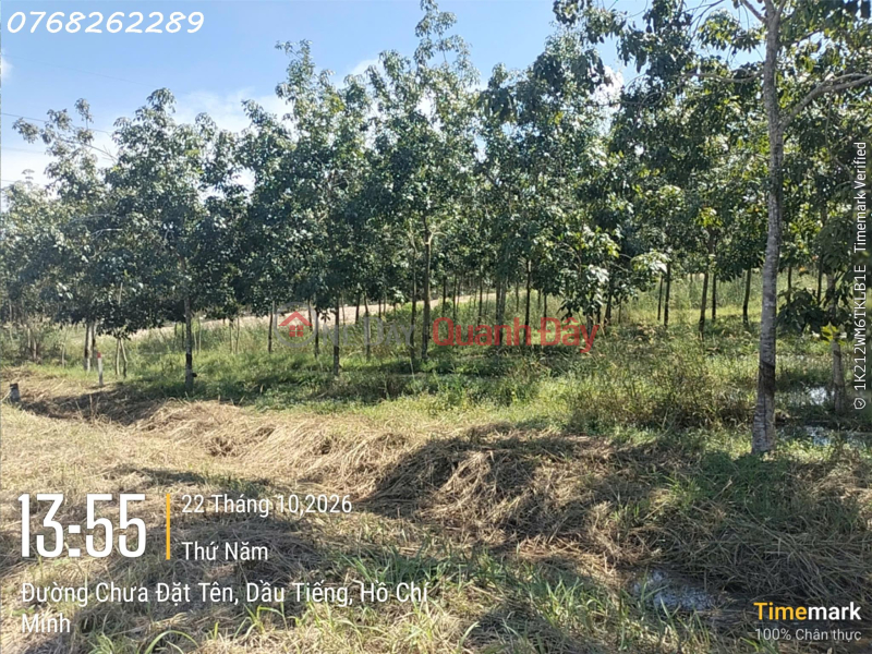 | Làm ơn chọn Nhà ở, Niêm yết bán, đ 7 tỷ