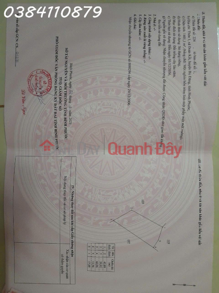 Property Search Vietnam | OneDay | Residential, Sales Listings | SELL 9 HEctare of RUBBER