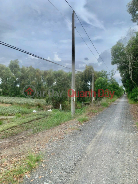 Property Search Vietnam | OneDay | Residential, Sales Listings | Need to sell a beautiful plot of land nearly 18 hectares, in Thanh Hoa Commune, Tan Phuoc, Tien Giang