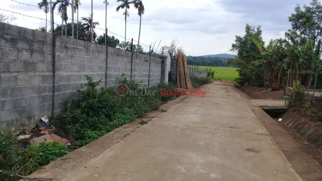 LAND FOR SALE IN EA KAO - Over 4500m2 - Residential land included - Fish pond - Field view - Perfect for building a beautiful garden house Sales Listings