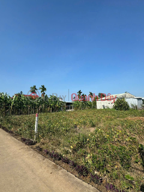 GOOD LOCATION - GOOD PRICE - Owner Sells Potential Land Lot In Xuan Dong, Cam My, Dong Nai _0