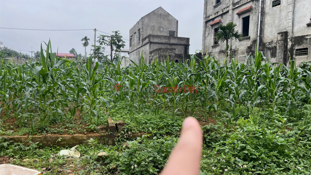 Đất Đẹp - Giá Tốt - Chính Chủ Cần Bán 2 Lô Đất liền kề vị trí đẹp tại huyện Ba Vì, TP Hà Nội Niêm yết bán
