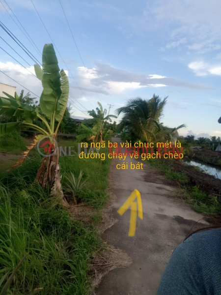 Property Search Vietnam | OneDay | Residential Sales Listings GENERAL FOR SALE Fast Land Lot Nice Location In Phu Tan, Ca Mau