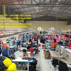 ĐẤT ĐẸP – GIÁ TỐT – BÁN GẤP LÔ ĐẤT LÀM NHÀ VƯỜN , NHÀ XƯỞNG TẠI xã Hoạt Giang, Hà Trung, Thanh Hóa _0