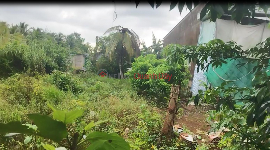 Property Search Vietnam | OneDay | Nhà ở Niêm yết bán, Bán Đất Thổ Cư 120m2 Đường Bà Lài, Tân Dương, Đồng Tháp. Sổ Hồng, Hướng ĐN, 560 Triệu.