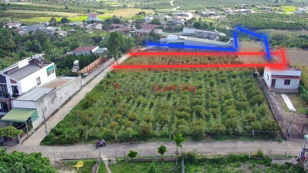 Land for sale in Ninh Gia - Duc Trong - Lam Dong. 1840m2, selling price 3.8 billion now reduced to 3.3 billion Sales Listings