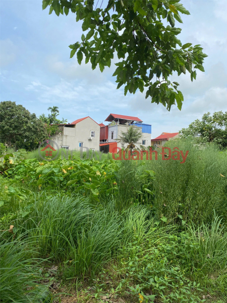 đ 40 Million, OWNER NEEDS TO QUICKLY SELL 02 LOT OF LAND ON DINH TIEN HOANG STREET, Hong Van, Thuong Tin, Hanoi