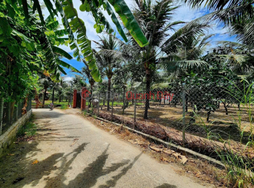 Cần bán nhanh lô Đắc Lộc - Vĩnh Phương ( nay là Phường Bắc Nha Trang ) 990 triệu Niêm yết bán