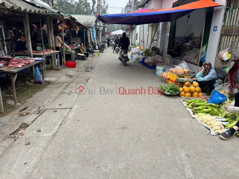 House for Sale, Prime Location for Business in Chi Dong Market, Me Linh - 67m2 - Price Only 6.75 Billion VND Sales Listings