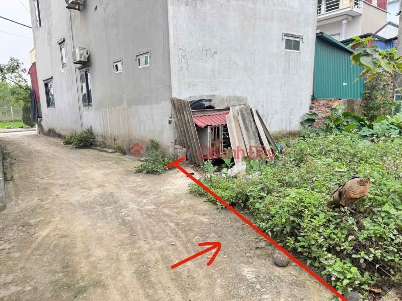 Urgent sale of a plot of land in Bach Da village, Kim Hoa commune, Me Linh district, Hanoi. Fully residential land, wide road, parking available., Vietnam Sales | đ 1.9 Billion