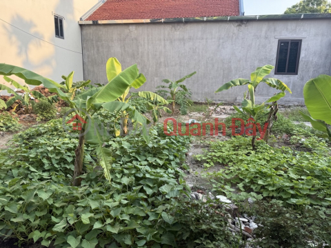 ĐẤT NỀN NINH XÁ - GẦN KCN THUẬN THÀNH - GIÁ ĐẦU TƯ CỰC TỐT - SINH LỜI CAO! _0